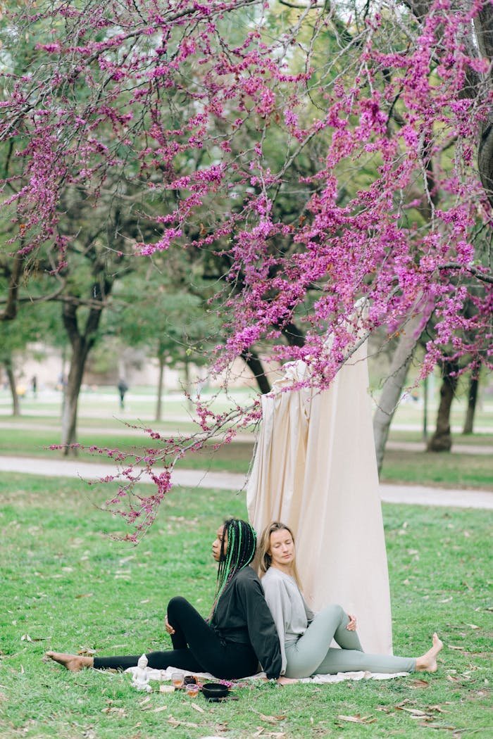 Two women meditating in a park under a blossoming tree, embracing nature and wellness.